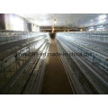 Automatic Pullet Chicken Birds′ Poultry Cages for Farm Use